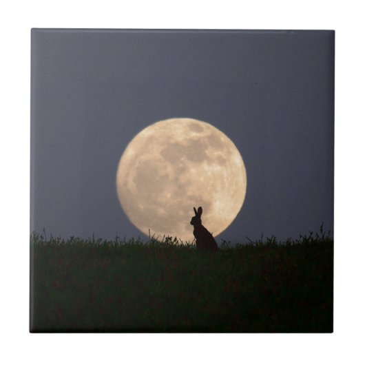 Moongazer.JPG タイル (正面)