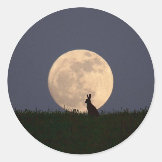 Moongazer.JPG ラウンドシール (正面)
