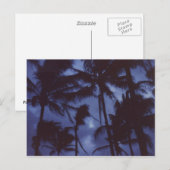 Moonlight PalmTreesはがき ポストカード (正面/裏面)