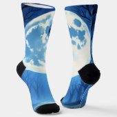 Moonlit Bond – The Wolf and the Gothic Fairy.   ソックス (傾斜あり)