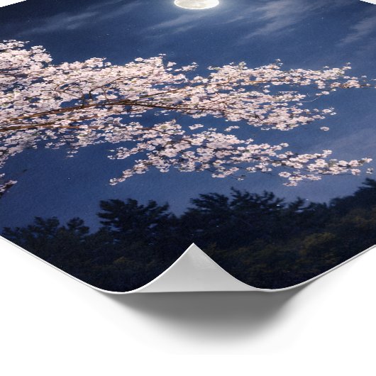 Moonlit Sakura – Cherry Blossoms Under a Full Moon ポスター (角)