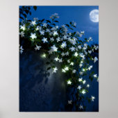 Moonlit White Flowers Vine Art ポスター (正面)