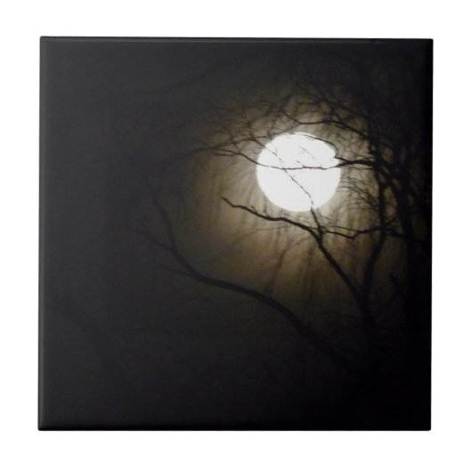 Moonriseのタイル タイル (正面)