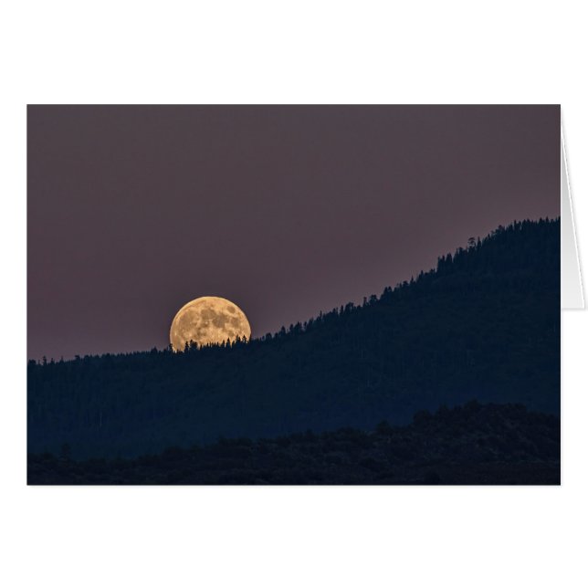 MOONRISE (正面横)