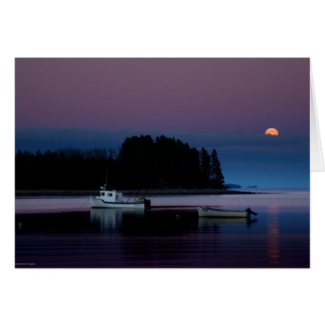 Moonrise (正面横)