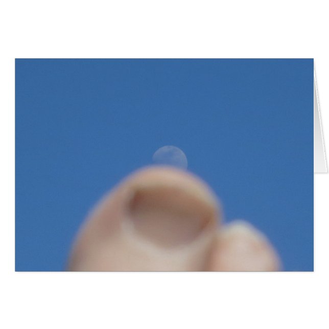 Moonrise 2014年 (正面横)