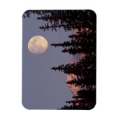 Moonrise Early Winter | Anchorage, Alaska マグネット (縦)