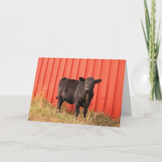 Mooooo カード (正面)