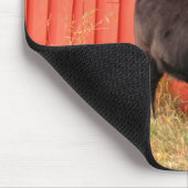 Mooooo マウスパッド (コーナー)