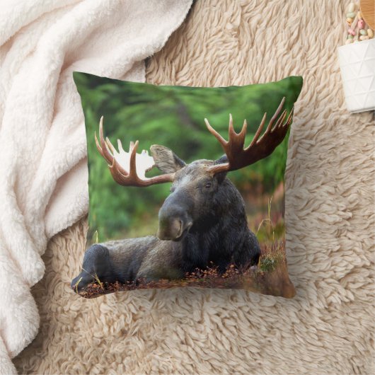 Moooose! クッション (ブランケット)