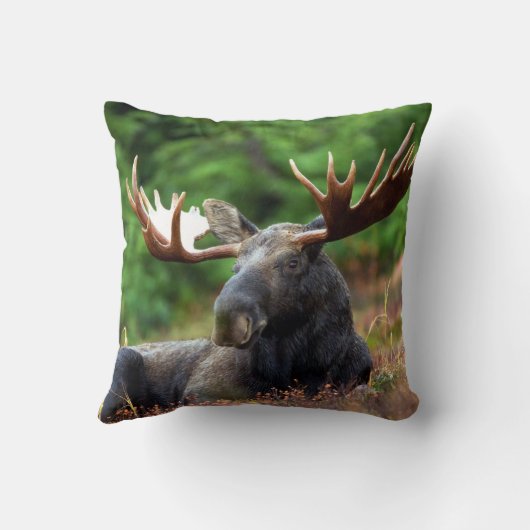 Moooose! クッション (裏面)