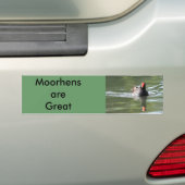 Moorhen バンパーステッカー (車上)
