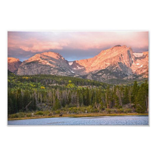 Mooseと観光客ズアットスプラハ湖,コロラド フォトプリント (正面)