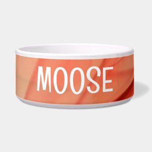 MOOSEカラフルペットボウル付き抽象芸術文字 ボウル