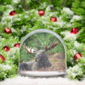 Moose (クリスマス)