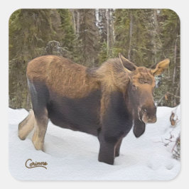 Moose – エンベロープシール スクエアシール