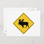 Moose 警告's, Road Sign，カナダ ポストカード (正面/裏面)