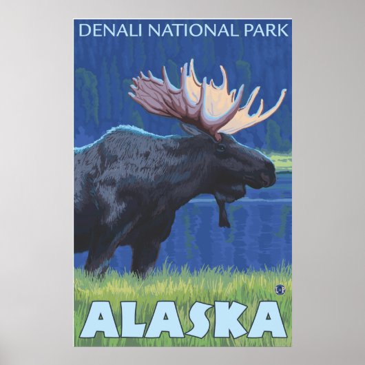 Moose at Night – アラスカ州デナリ・ナットル公園 ポスター (正面)