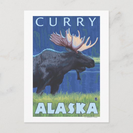 Moose at Night – カレー，アラスカ ポストカード (正面)