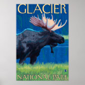 Moose at Night - Glacier National Park, MT ポスター (正面)