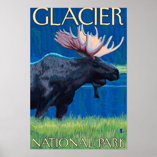 Moose at Night - Glacier National Park, MT ポスター (正面)