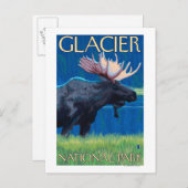 Moose at Night - Glacier National Park, MT ポストカード (正面/裏面)