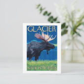 Moose at Night - Glacier National Park, MT ポストカード (スタンド正面)