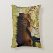 Moose Bull Teton王 アクセントクッション (正面(垂直))