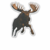 Moose Cut-out sticker シール (正面)