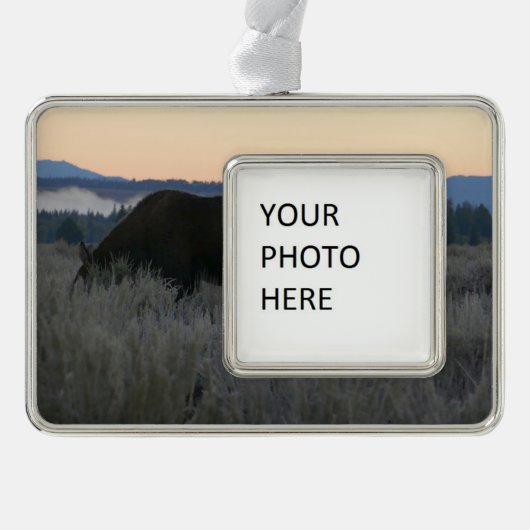 Moose Grazing at Sunrise at Grand Teton シルバープレートフレームオーナメント (正面)