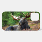 Moose iPhone 12ケース Case-Mate iPhoneケース (裏面 (横))