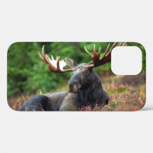 Moose iPhone 12ケース
