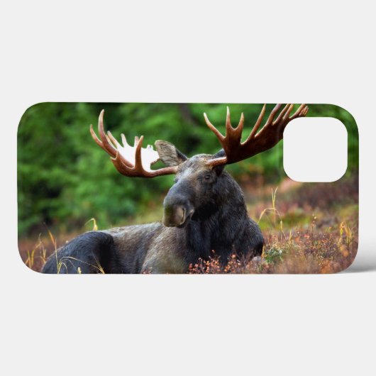 Moose iPhone 13ケース Case-Mate iPhoneケース (裏面 (横))