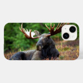 Moose iPhone 14ケース Case-Mate iPhoneケース (裏面 (横))