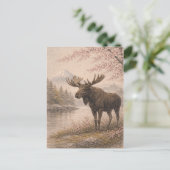 Moose Postcard, Canadian Wildlife Art Card, Forest ポストカード (スタンド正面)