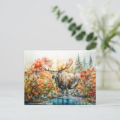 Moose standing in pond among plants シーズンポストカード (スタンド正面)