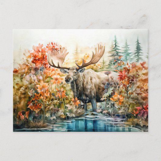 Moose standing in pond among plants シーズンポストカード (正面)