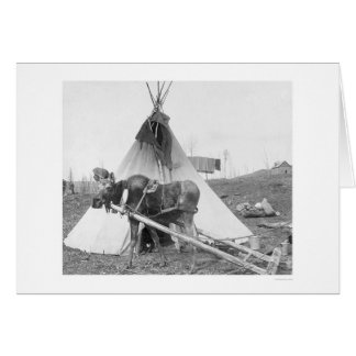 Moose Teepee 1916