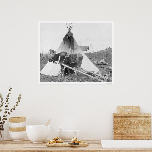 Moose Teepee 1916 ポスター (キッチン)