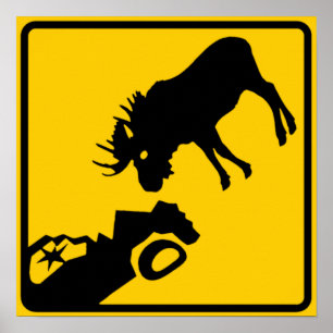 Moose Warning Sign from Gros Morne National Park ポスター