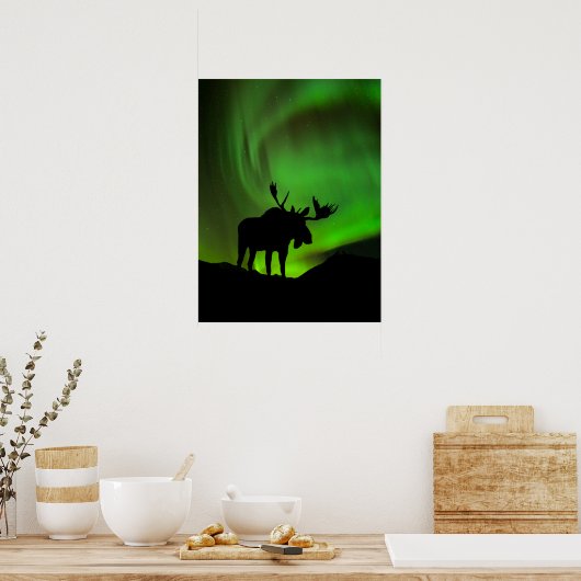 Moose with Green Aurora Borealis, Alaska ポスター (キッチン)