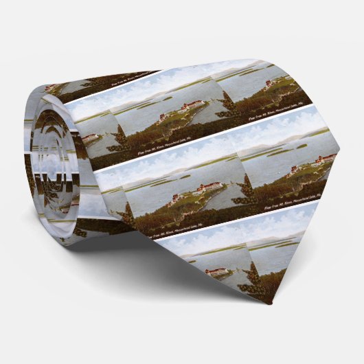 Moosehead湖、メインの1906年のヴィンテージ ネクタイ (ロール)