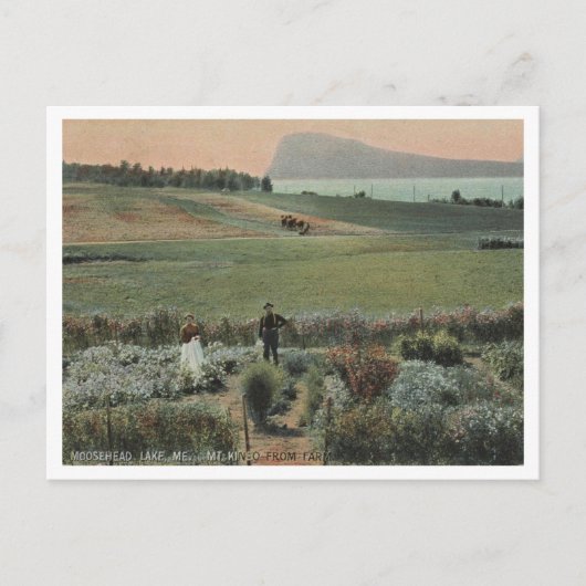 Moosehead Lake ME, Mt Kineo, Farm 1910 ポストカード (正面)