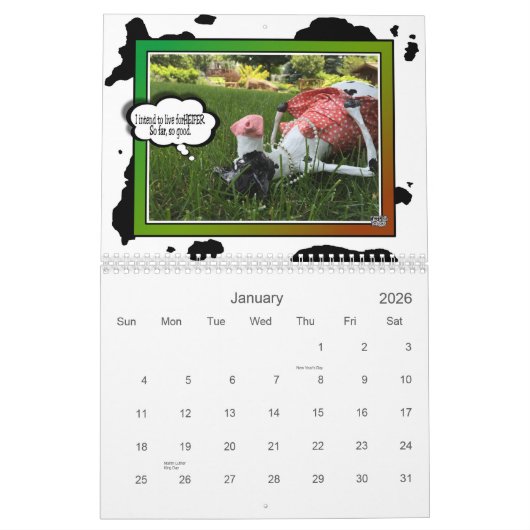 Mootildaの2016年のAnUDDER年のCOWmicalの一見 カレンダー (1月 2026)