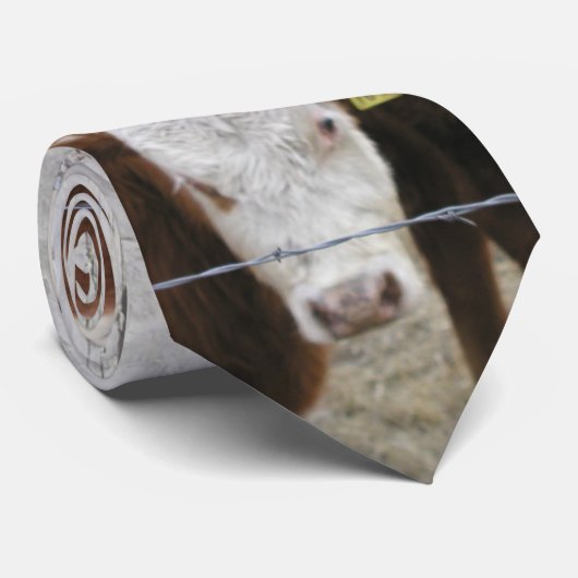 mOovそれ私は言います! ネクタイ (ロール)