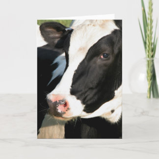 Mooving! カード