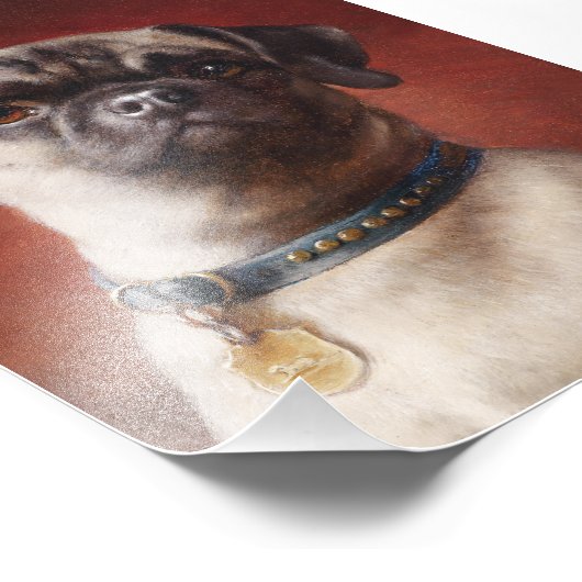 Mops写真 フォトプリント (角)