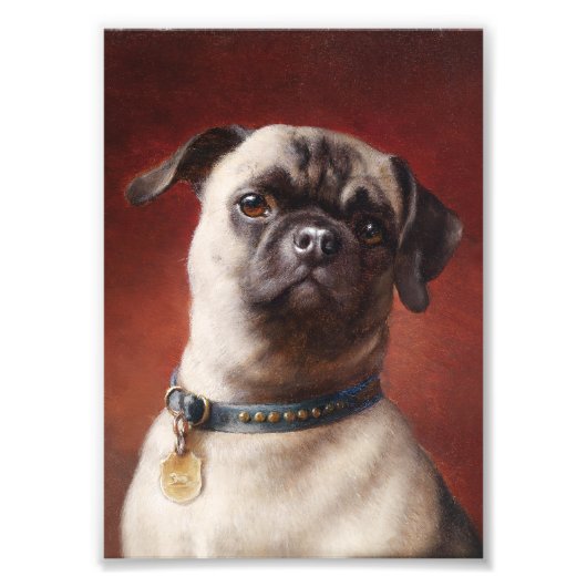 Mops写真 フォトプリント (正面)