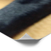 Mops ポスター (角)