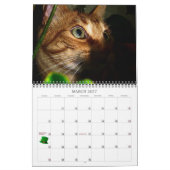 Mordi, Basil & Friends Cat Calendar 2024 カレンダー (3月 2027)